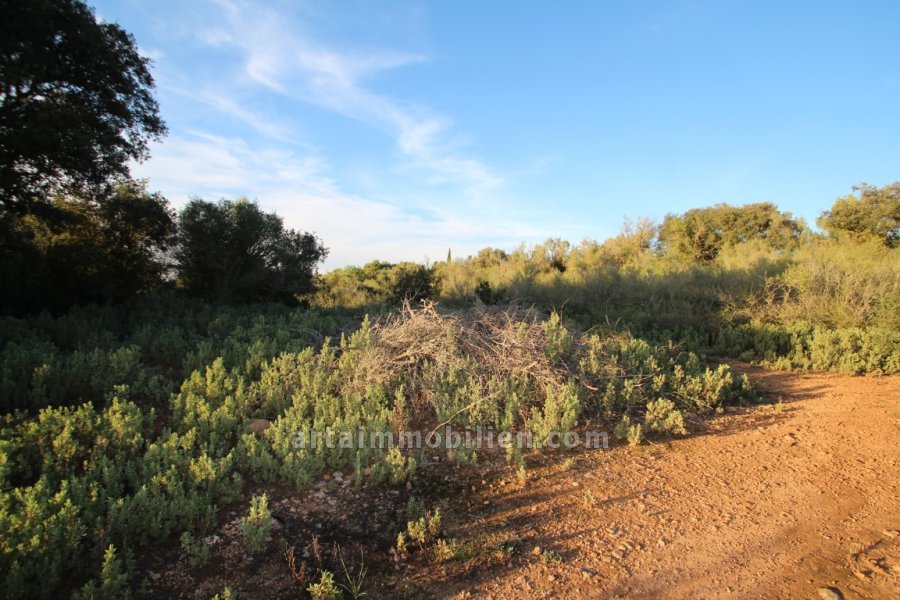 Finca Rústica en Manacor