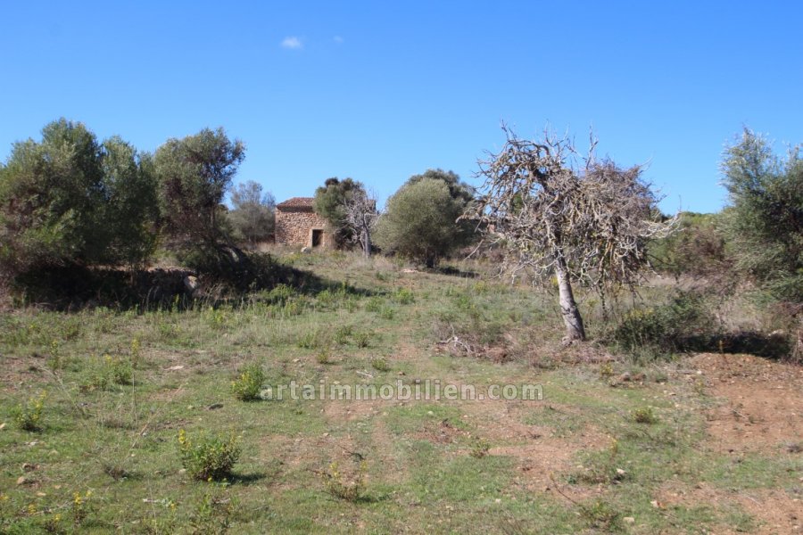 Finca en Canyamel