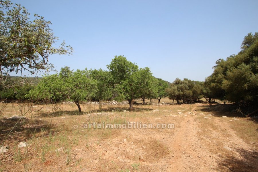 Finca Rústica en Cas Concos