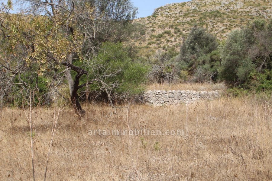 Finca Rústica en Capdepera