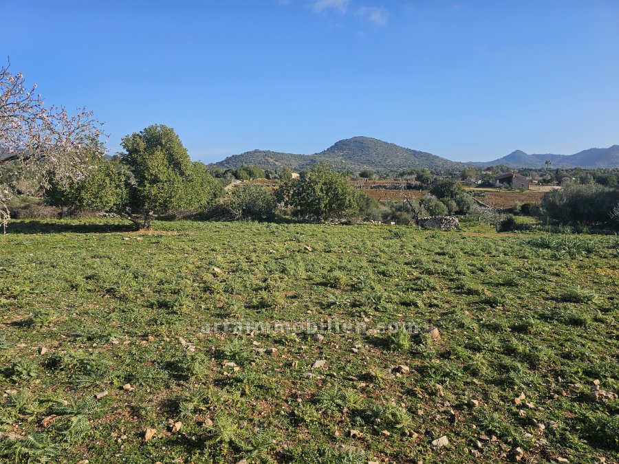 Solar en San Lorenzo